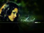 812 photo